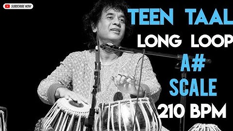 TeenTaal Long-Loop Tabla | A# Scale | 210 Bpm | 16 Matra | #muzzico