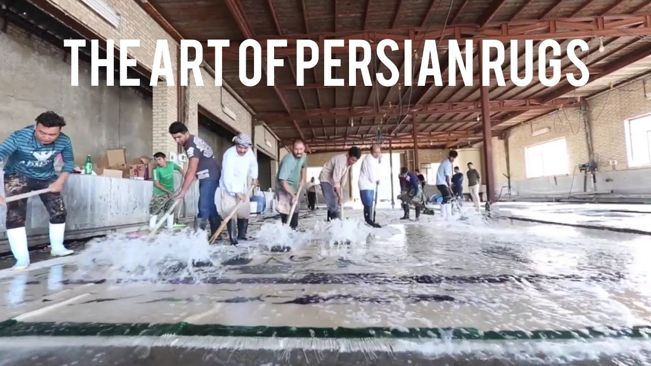 PERSIAN RUGS | The final cleaning process of large persian carpet