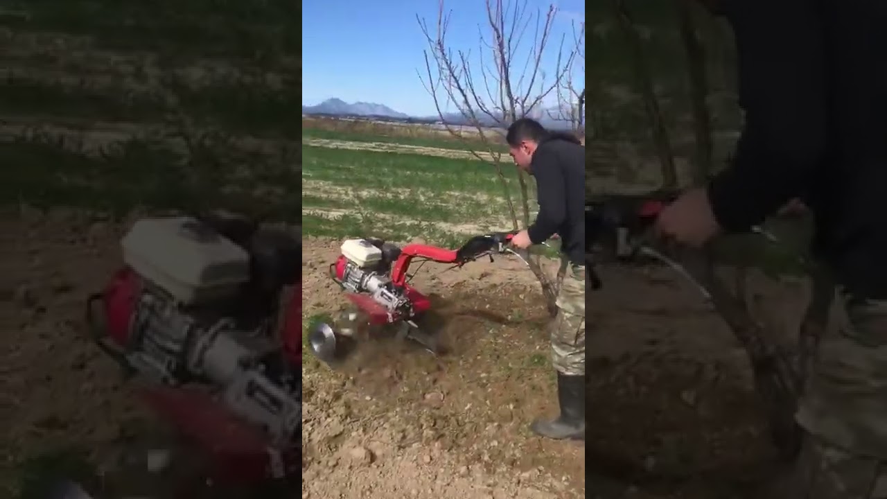 Erik dip çapalama# seplondor erik