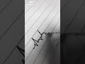 حالات واتساب نبض قلبي 
