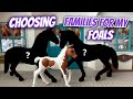 Choosing families for my NEW Schleich foals!🐴💗 Mp3 Song