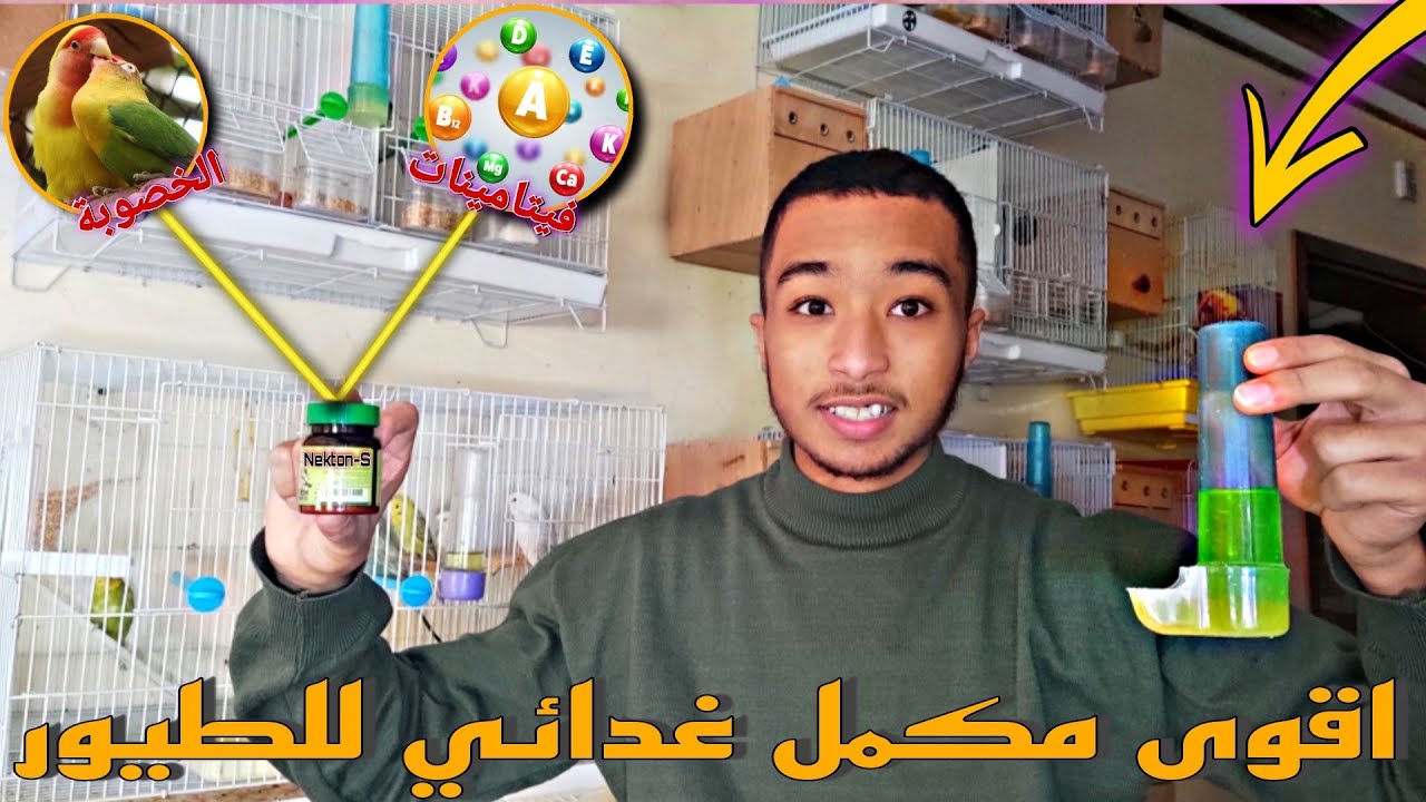 اقوى مكمل غدائي للطيور ( Nekton-S ) 🔥🦜 تزويد الطائر بأكتر من +10 فيتامينات 🔥😲
