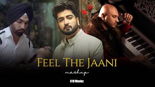 Feel The Jaani Mashup | Jaani | B Praak | Ammy Virk | H M musicz