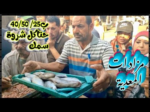 أسعار السمك في المعدية طاولة بلطي 80ج شروات سمك بحر ببلاش