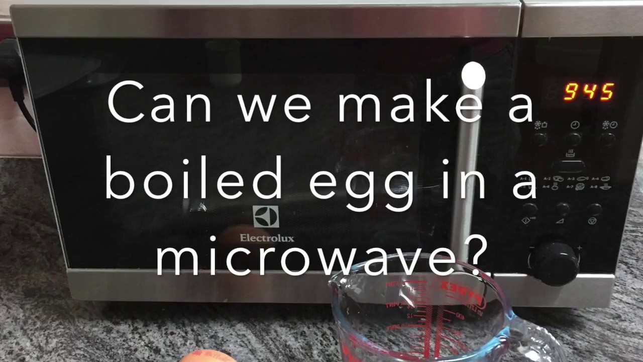 "Boiled egg in the Microwave" Making a boiled egg in a microwave YouTube