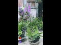 em tặng quà cho anh chị chia sẻ