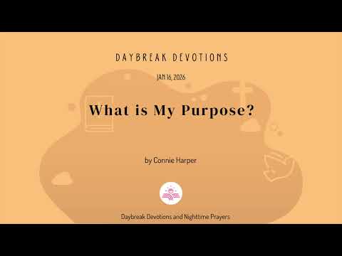 What is My Purpose?