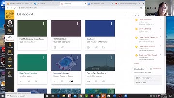 Groupwork in an asynchronous class
