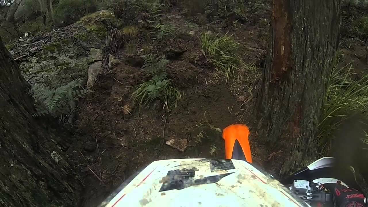 mt cole up to look out