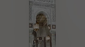 سورة القصص القارئ عبدالبديع غيلان #quran #ترند #حالات #تلاوة #قرآن #سورة #تلاوات_خاشعة #تلاوات #نوح