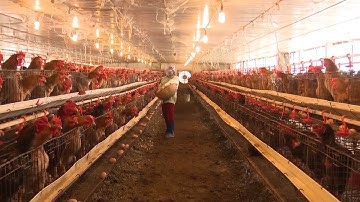 Ý kiến của cử tri gửi tới Kỳ họp thứ 12, HĐND tỉnh Thái Nguyên khóa XIII