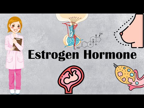 Estrogen Hormone - The Principal Sex Hormone In Females - Types, Production, Functions In Females
