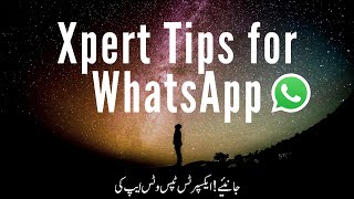 Useful Whatsapp Tips, Tricks Hacks 2020 Urduhindi