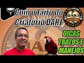 Podcast com Jairo! O velhinho do Criatorio DARJ!