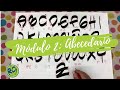 TALLER LETRA ONLINE RDI/TIMOTEO: MÓDULO 2 - Abecedario Paso a Paso.