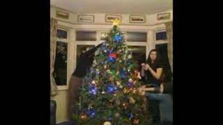 Sullivan Family Christmas Details