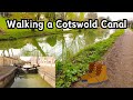 Walking a cotswold canal  the stroudwater navigation