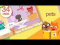 Sago Mini School PETS | New Early Learning Skills & Identifying Emotions | Best App for Kids