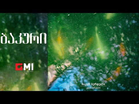 ბაკურ ბურდული - ბაკური / Bakur Burduli - Bakuri
