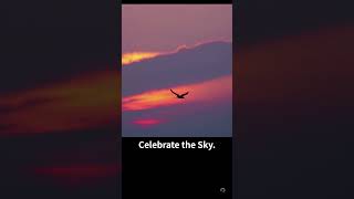 Sky Day  Celebrating the Beauty Above#SkyDay #LookUp #CelebrateTheSky screenshot 2