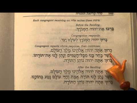 40 Torah Blessings Before reading