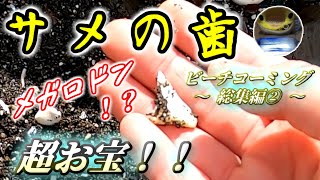 【メガロドン！？】サメの歯！古銭！レトロ瓶！ビーチコーミング激レア総集編②～Japanese glass＆old bottles～