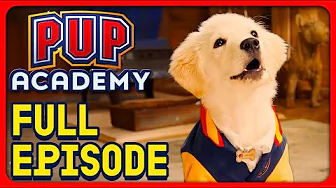The Substitute | Pup Academy Full Episode S1E11