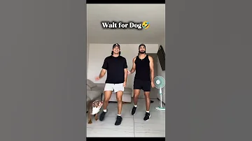 Saka Saka Dance Gone Wrong Trending Shorts Dance 