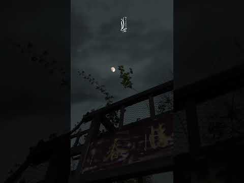 انت خليك بمكاني نهر وتعوفه الجروف الشاعر سمير صبيح