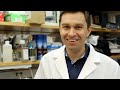 What Is NMN? The Complete Guide to Nicotinamide Mononucleotide