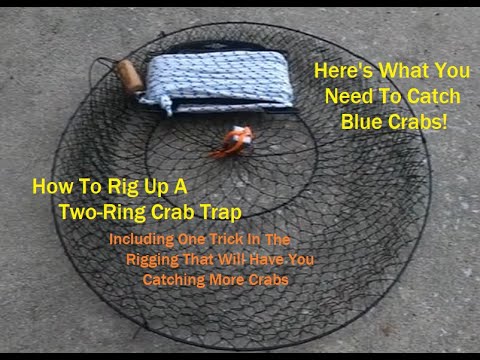 Crabbing 101: How to Set Up a Two Ring Crab Trap 