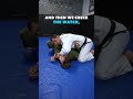 A Sneaky Armbar that Everyone Should Know