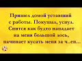 Утренний М#нет не Удался... Анекдоты Онлайн! Короткие Приколы! Смех! Юмор! Позитив!