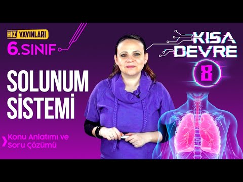 Solunum Sistemi Konu Anlatımı, Soru Çözümü 2 - 6. Sınıf Fen Konu Anlatımı 8. Ders