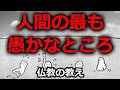 『おかしな人類』人間のここが一番バカなところ【仏教の教え】