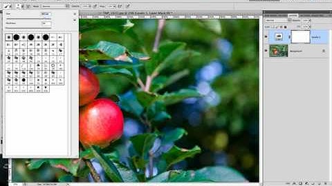 Adjustment Layers in Photoshop CS5 - Levels 2 of 2