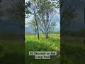 30 Seconds on the Long Trail - Harmon Hill