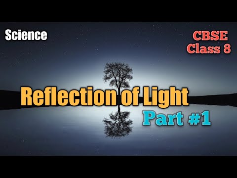 CBSE | Class 8 | Reflection of Light | Part 1