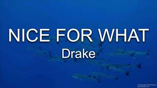 NICE FOR WHAT - DRAKE ( audio )