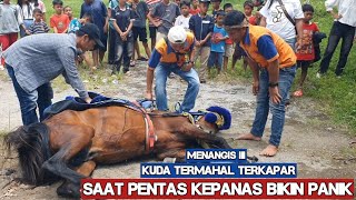 Download Lagu Kuda renggong - Atraksi kuda renggong geboy grup MP3