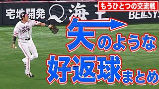 【もうひとつの交流戦】『レーザービーム・矢のような返球』まとめ