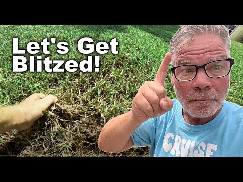 Nitrogen Blitz, Seed Washouts and Rotten Roots in Florida