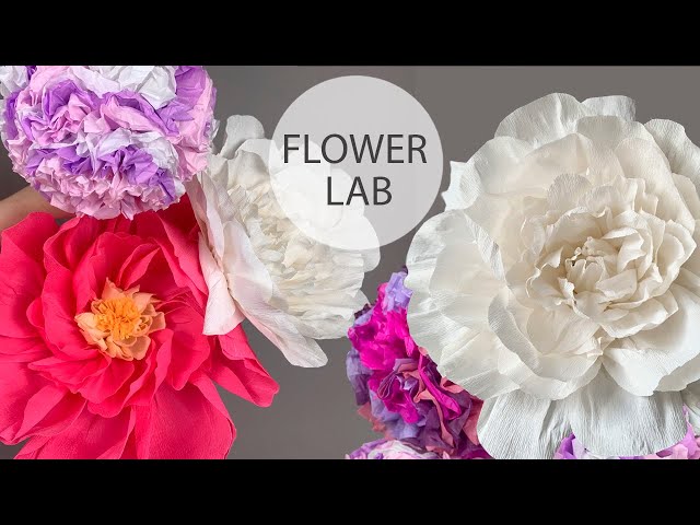 6 Weddeing Flower Ideas | How to Make Flower for Wedding Tutorial