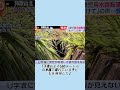 1歳の男の子が灌漑用水路に転落し意識不明となった。#事件