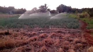 Skilled Farmers
