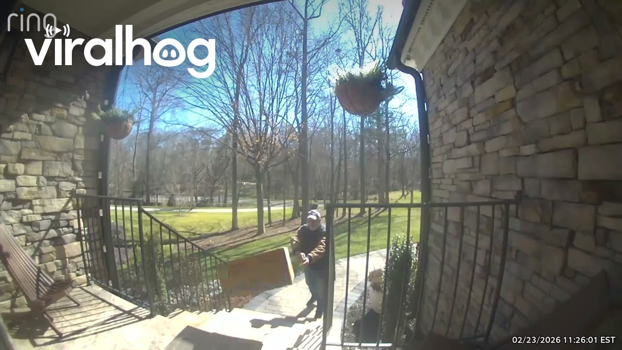 Delivery Driver Throwing Package Onto Porch Fail || ViralHog - YouTube