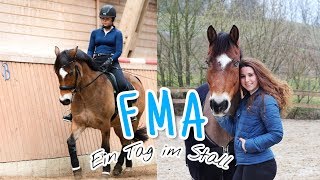 Fma L Ein Tag Am Stall 14.03.2020 L Nemothefisheye