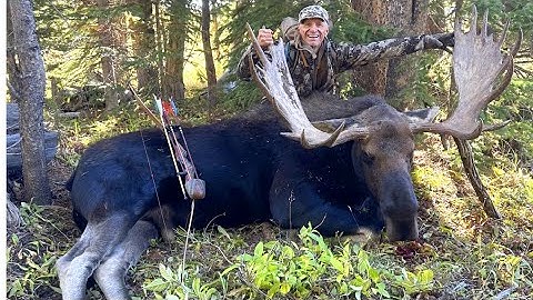 50” Sharis Bull Moose taken with traditional archery gear.
