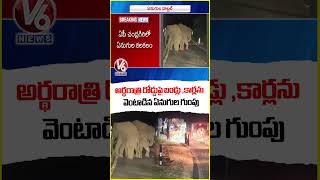 Elephant Herd Disrupts Traffic on Bhakarapeta Ghat Road in Tirupati District V6 News