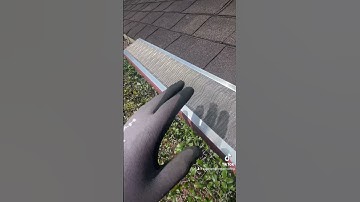 Leaf Blaster = Working Rain Gutters